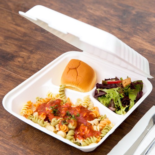 Bagasse lunch box - lunch,